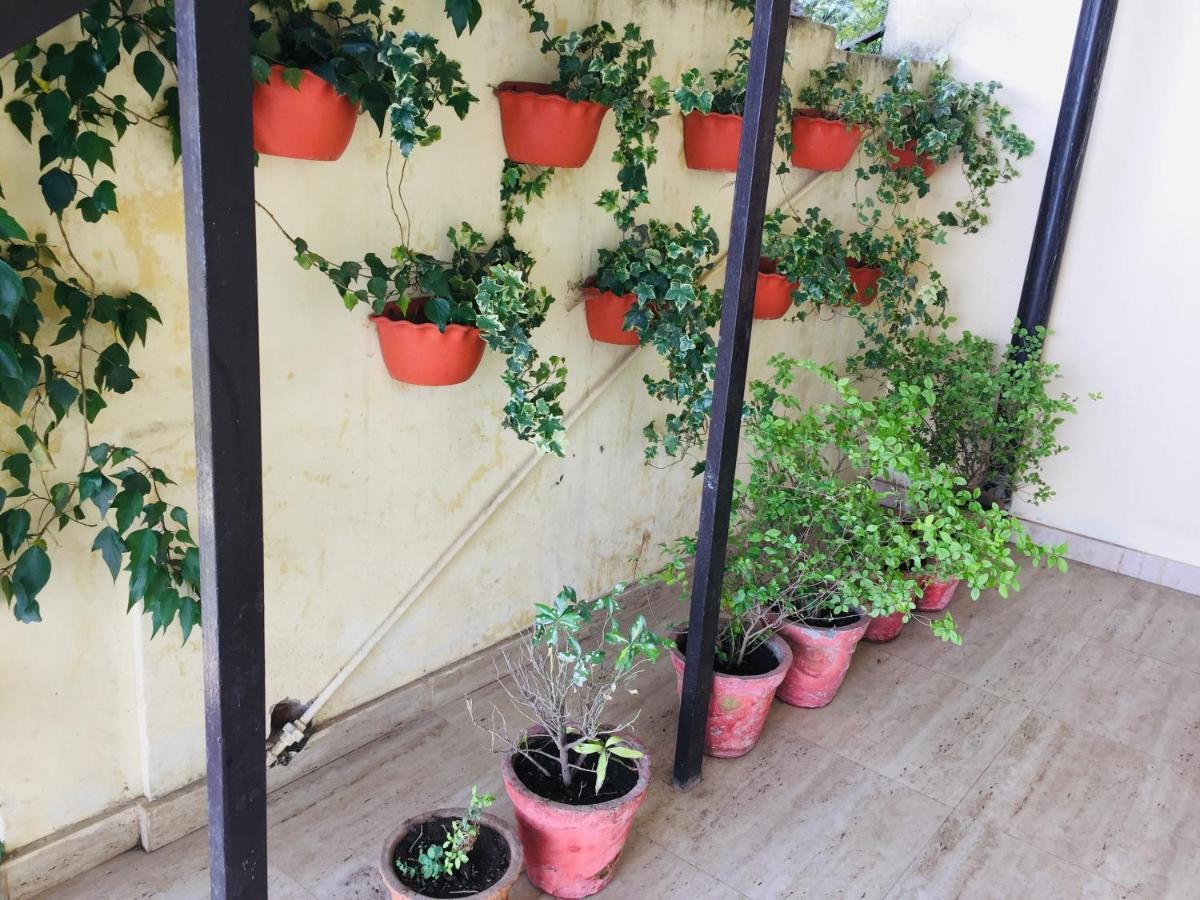Hotel Prem G, Mussoorie Kültér fotó